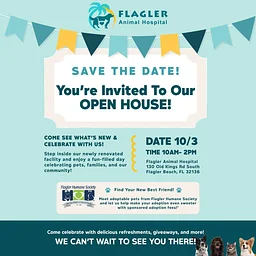 Flagler Animal Hospital Open House – Adoptable Shelter Animals!
