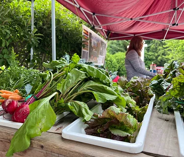 Jeffersonville Farmers’ Market