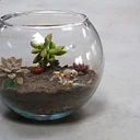 Sip and Plant: Spooky Terrariums