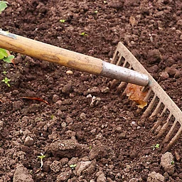 Building Healthy Soil