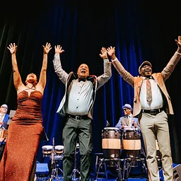 Buena Vista Orchestra
