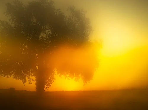 Exhibition: Todd Hido, Many Small Decisions