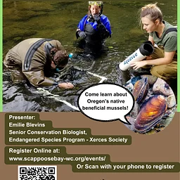 Freshwater Mussel Forum