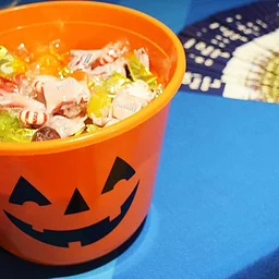 Trick-or-Treat at The Museum!