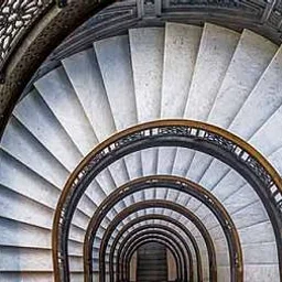 MEMBER EXCLUSIVE – Free Rookery Tours