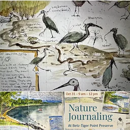 Healthy Living: Nature Journaling with Scott Merrell
