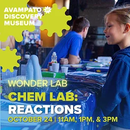 Wonder Lab: Chem Lab: Reactions