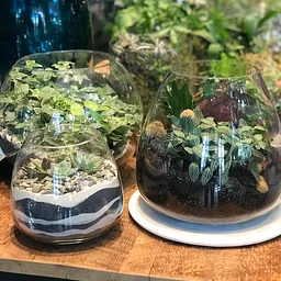 Terrarium Workshop with Artist Crystal Floyd
