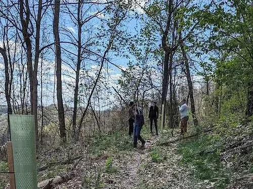 Tree Steward Program Field Training- Buena Vista Heights