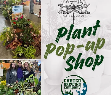 Dragonfly Farm & Nursery Plant Pop-up