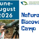 Summer Camp Week 10