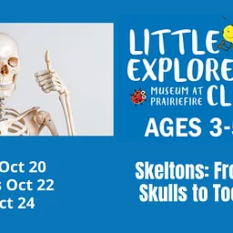 Little Explorer’s Club: Skeletons: From Skull to Toes