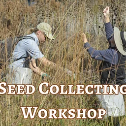 Seed Collection Workshop