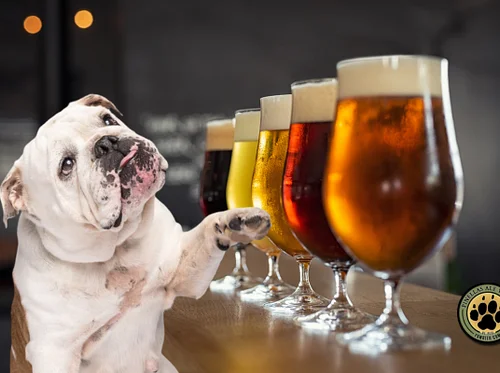 PAW Happy Hour