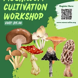 Mushroom Cultivation Workshop