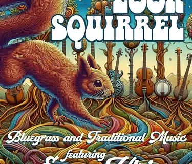 Look Squirrel - Live at the Taproom