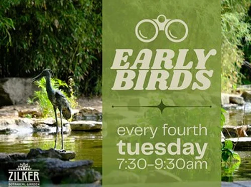 Early Birds in the Garden