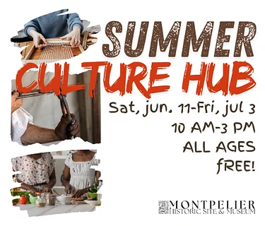 Summer Culture Hub