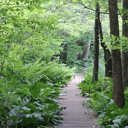 Women Take to the Trails