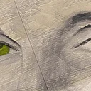 Identity in the New Regime: Artist Talks
