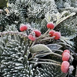 Closed For The Holiday Season