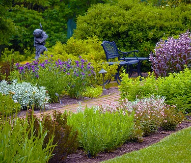 Managing Spring Weeds