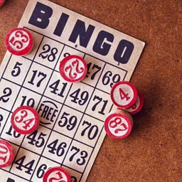 Bingo and Pie Trivia Night at JudyPie