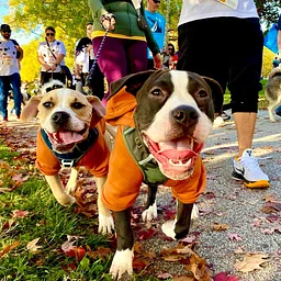 22nd Annual BARCStoberfest