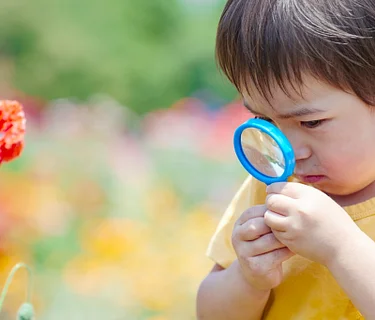 Tech that Teaches · September Seeds to Sprouts