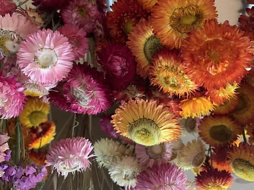 Everlasting Harvest Workshop