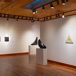 Geometry of Light