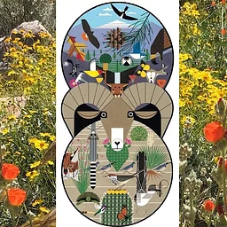 Fall Bioblitz: Santa Rosa & San Jacinto Mountains National Monument