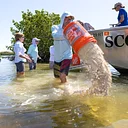 Love Sanibel Back: Tarpon Bay Oyster Restoration