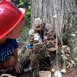 Fairy Play Time