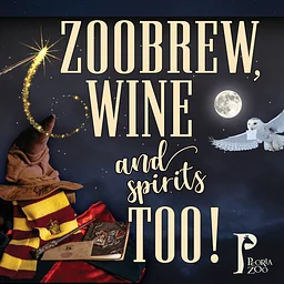 Zoobrew, Wine and Spirits Too!