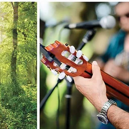 Round Top Folk Festival