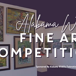 Alabama Wildlife Fine Arts Competition