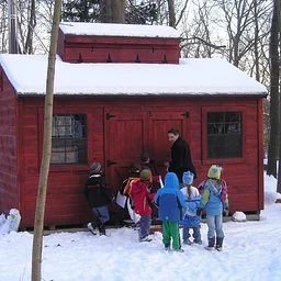 Maple Sugaring: The Sweet Journey from Tree to Table