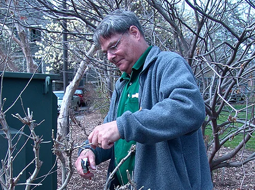 Specialty Pruning Workshop: Hydrangeas & Roses