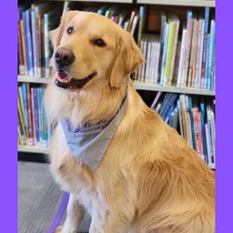 Read to Bindi the Therapy Dog