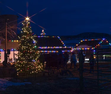 Schweiger Ranch Holiday Display of Lights