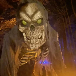 CFT’s Fright Night Haunted Forest 2027 – Day 1