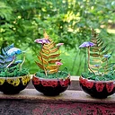 Copper class – Mushroom garden at The Vineyard at Hershey