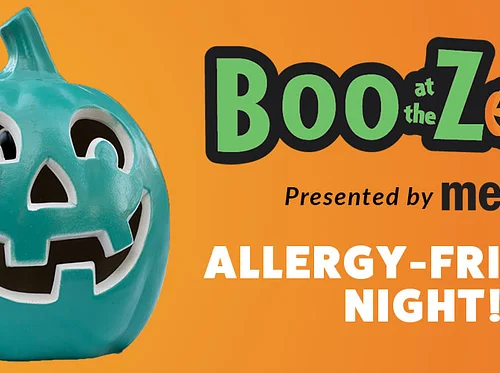 Boo at the Zoo 2026 – Allergy Friendly Night