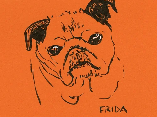 Workshop: Pet Portraits in Brush Pen