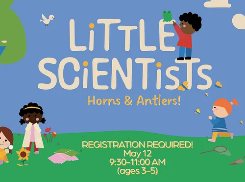 Little Scientists: Horns & Antlers