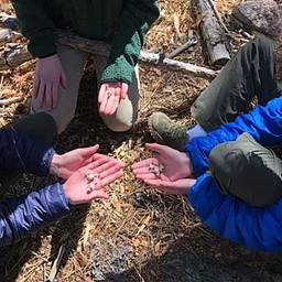 Teen Community Workshop: Skulls, Scat & Tracks