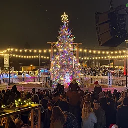 Christmas Tree Lighting