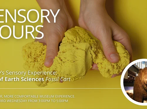 Sensory Hours | Kinetic Sand, Fossil Cart