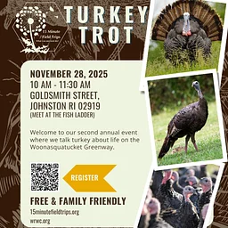 Turkey Trot!